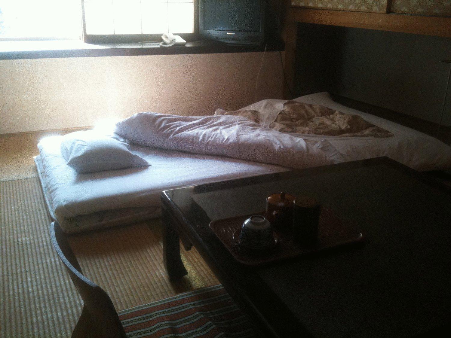 Kamesei Ryokan Chikuma Bagian luar foto